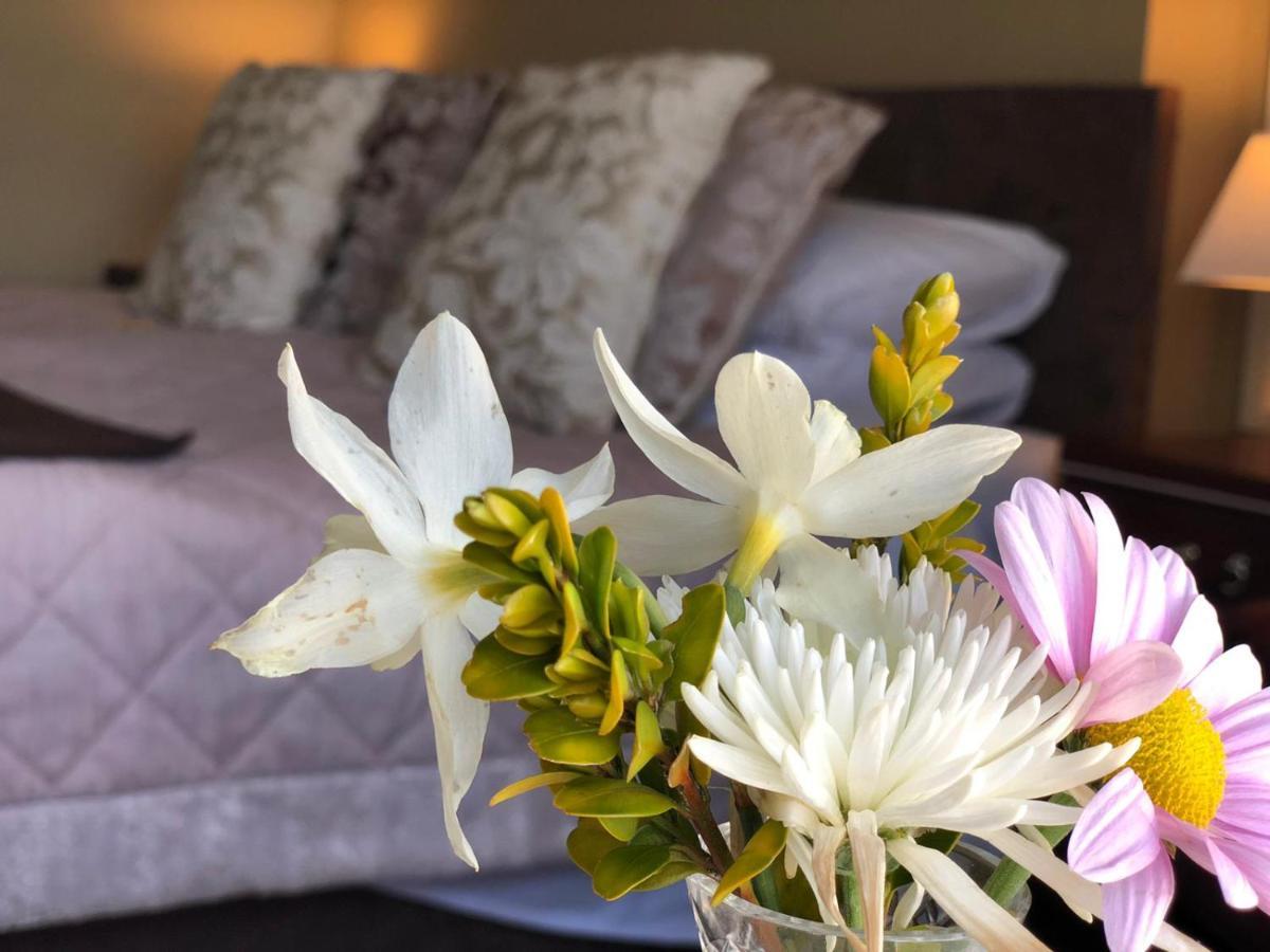 Llangwyryfon Country Breaks Bed and Breakfast Aberystwyth Exteriör bild
