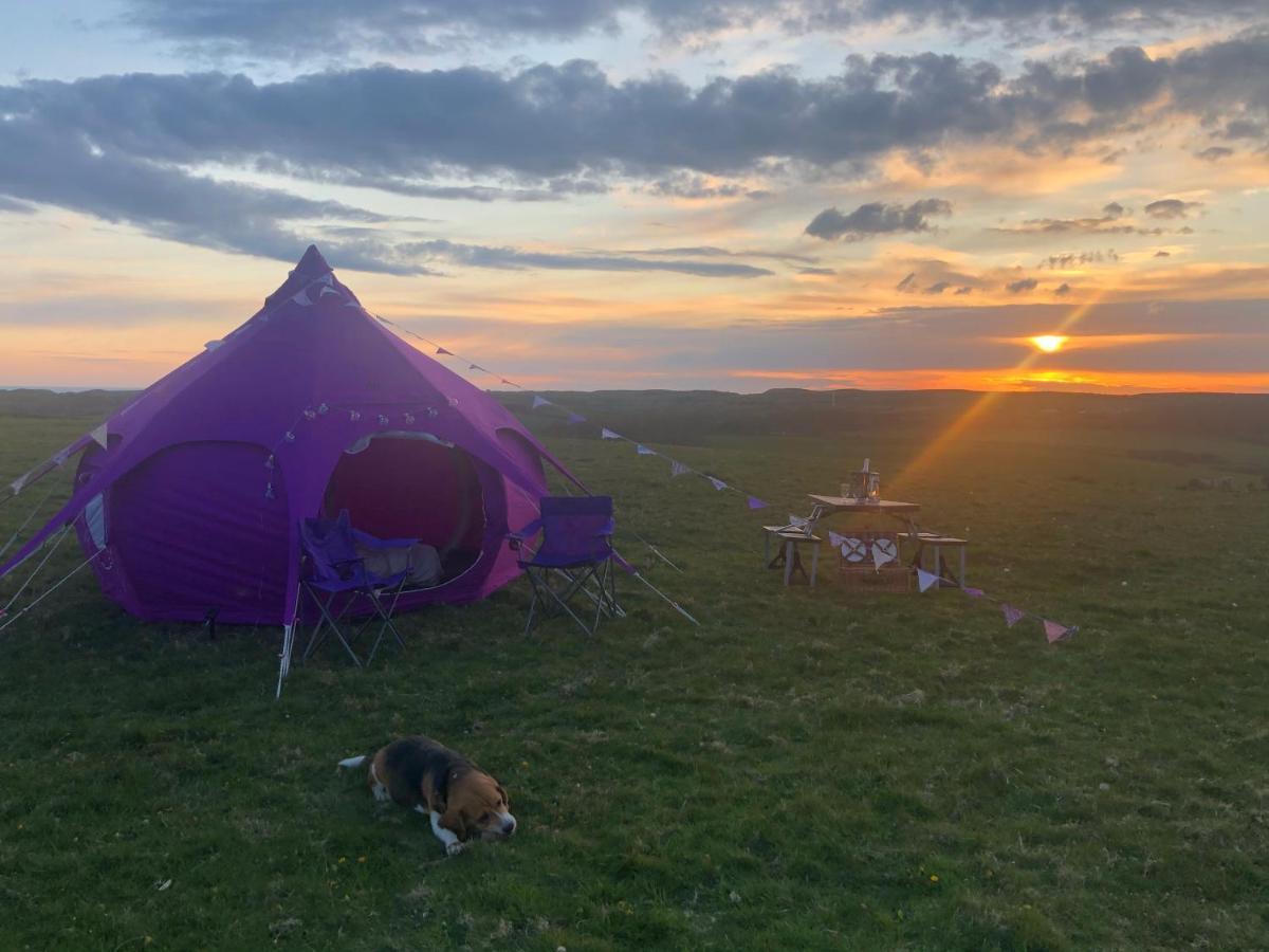 Llangwyryfon Country Breaks Bed and Breakfast Aberystwyth Exteriör bild