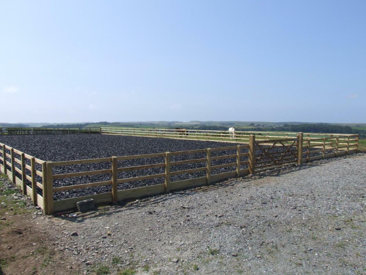 Llangwyryfon Country Breaks Bed and Breakfast Aberystwyth Exteriör bild