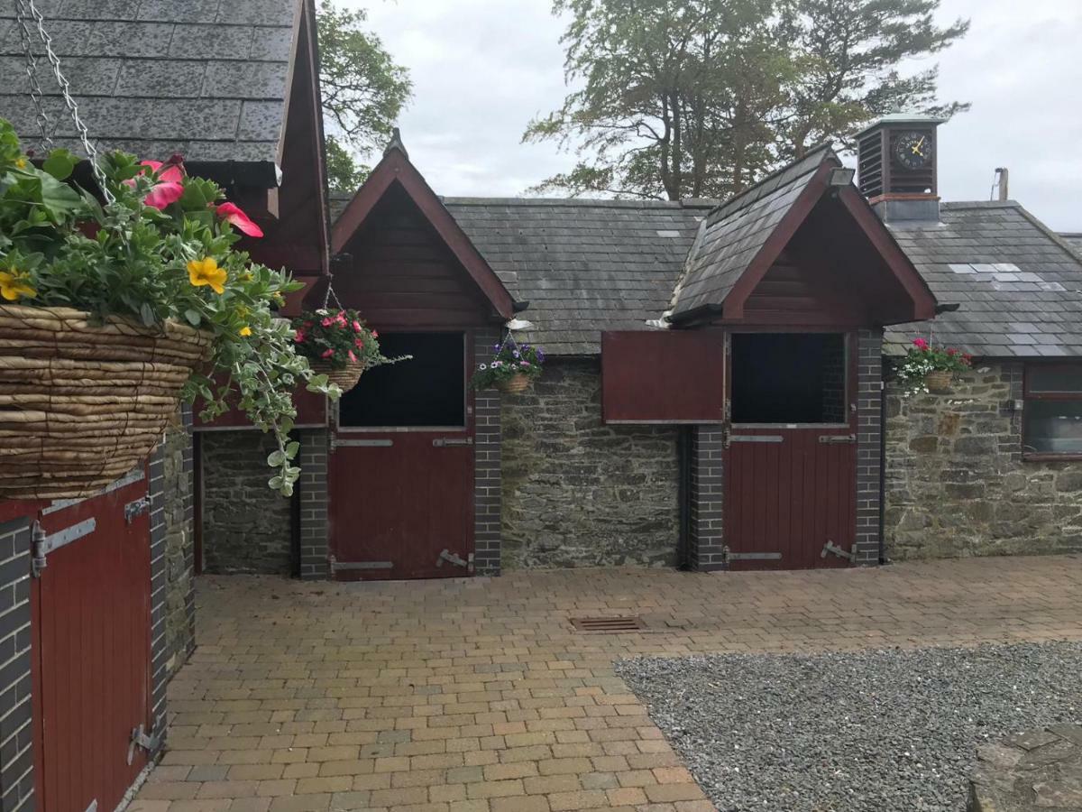 Llangwyryfon Country Breaks Bed and Breakfast Aberystwyth Exteriör bild