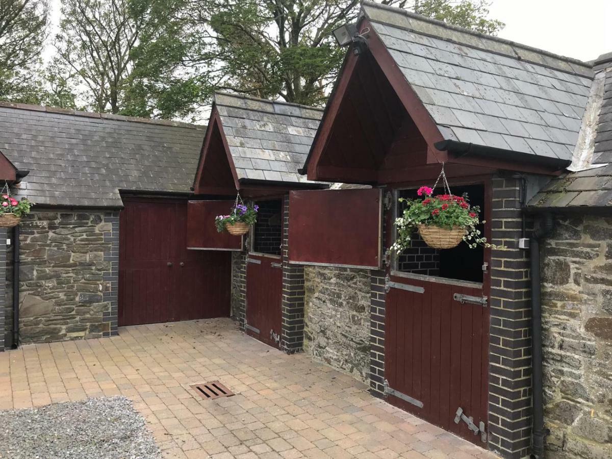 Llangwyryfon Country Breaks Bed and Breakfast Aberystwyth Exteriör bild