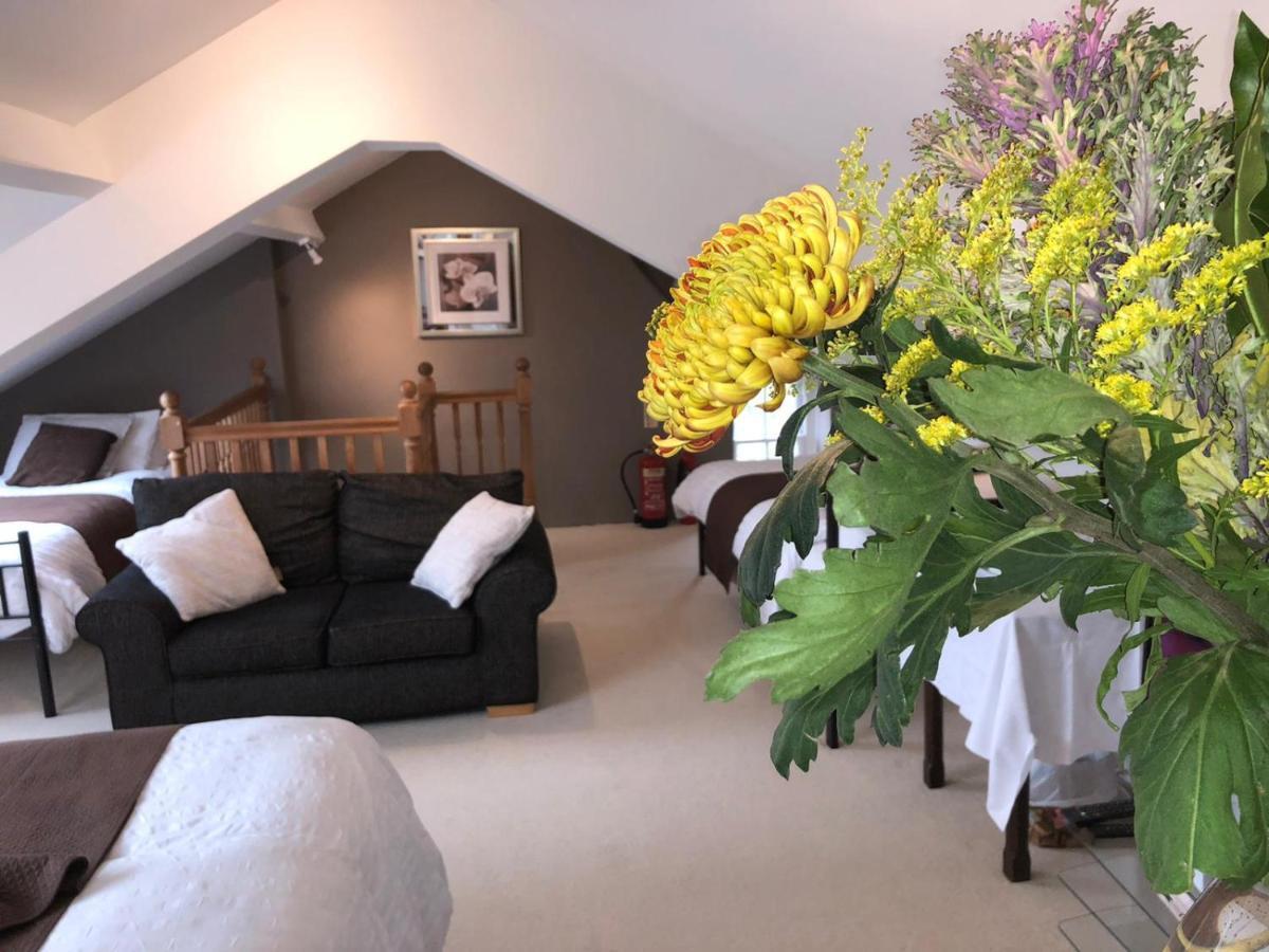 Llangwyryfon Country Breaks Bed and Breakfast Aberystwyth Exteriör bild